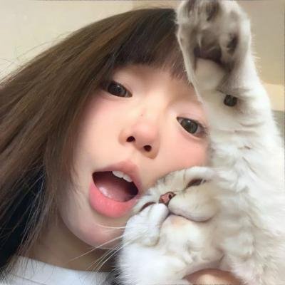 纽泽西爱未眠