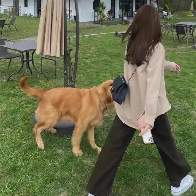 小锅盖离婚